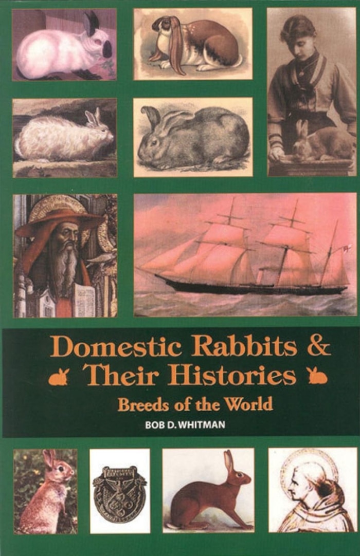 Domestic Rabbits & Their Histories - Breeds of the World