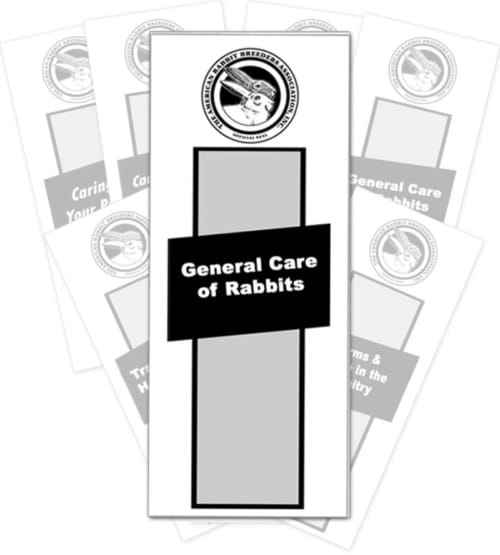 general care of rabbits