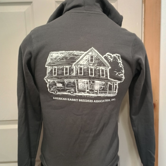 Hare Today & Forever Sweatshirt - Image 3