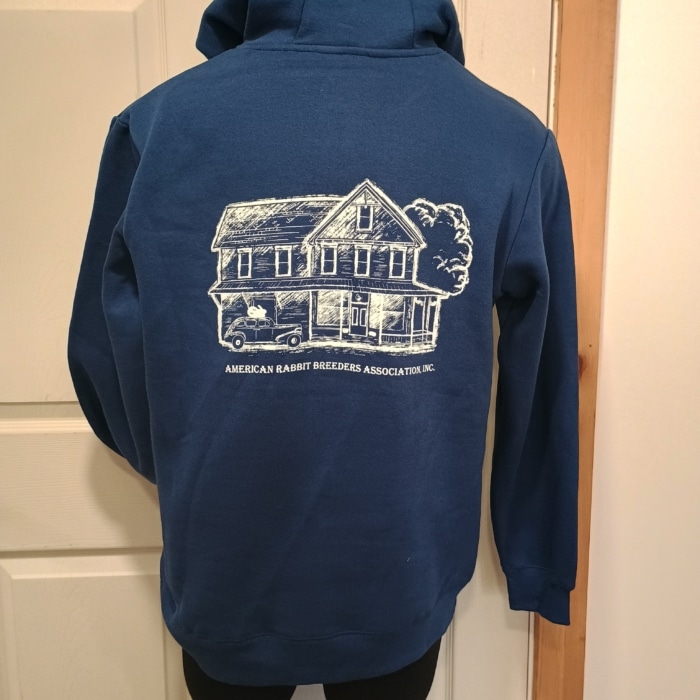 Hare Today & Forever Sweatshirt - Image 5