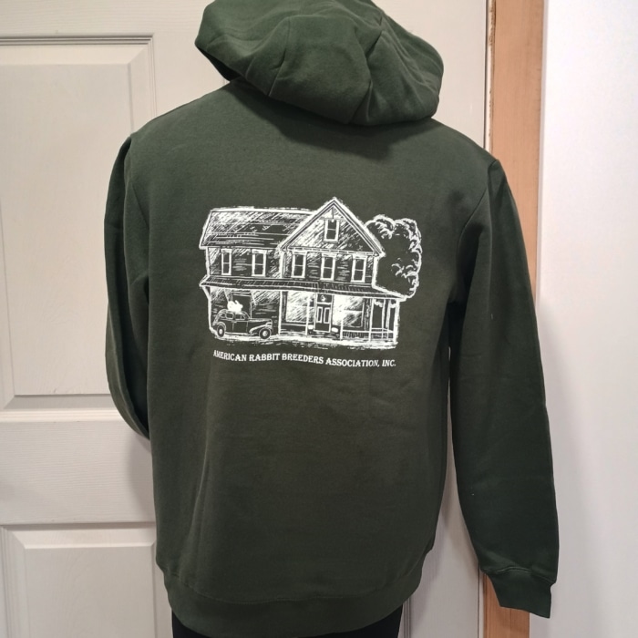 Hare Today & Forever Sweatshirt - Image 7