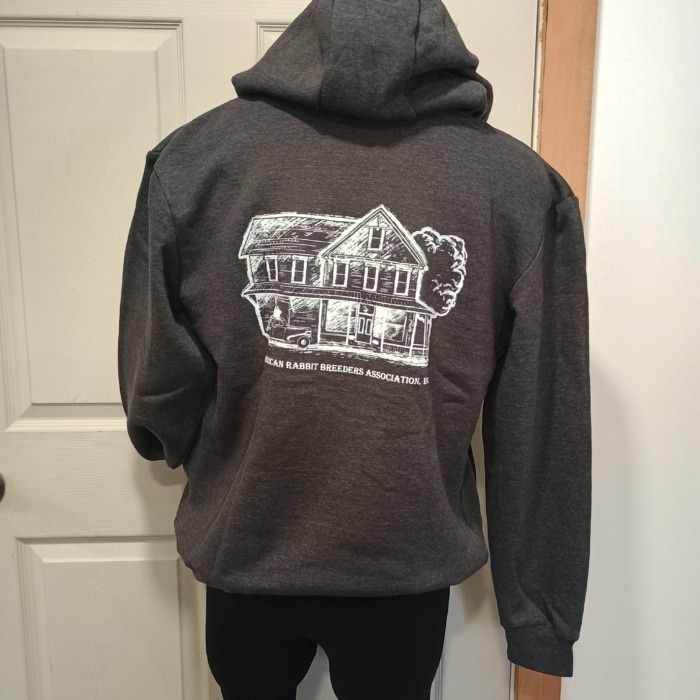 Hare Today & Forever Sweatshirt - Image 9