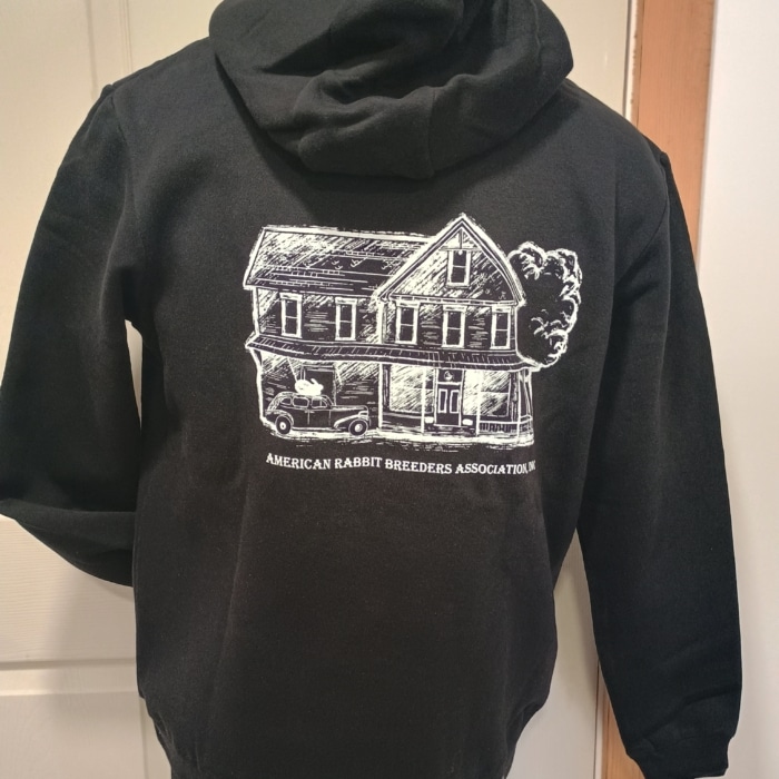 Hare Today & Forever Sweatshirt - Image 11