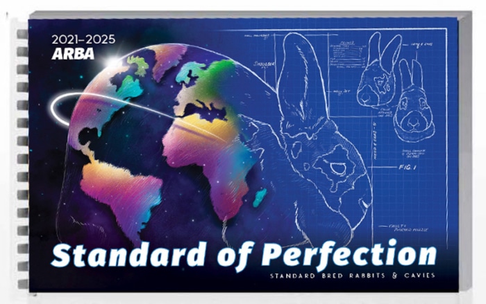 Standard of Perfection 2021-2025